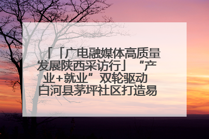「广电融媒体高质量发展陕西采访行」“产业+就业”双轮驱动 白河县茅坪社区打造易地搬迁后扶新样本